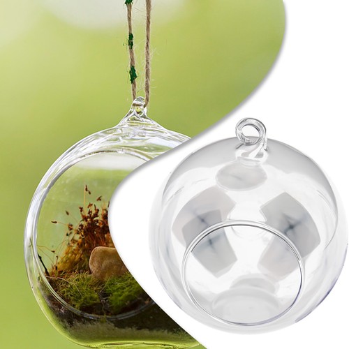 Hängend glaskugel sukkulente - glaskugel,