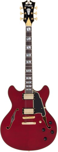 Dangelico excel trans - dangelico,