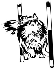 SHELTIE Aufkleber - Sheltie