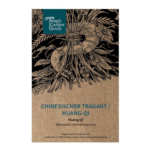 Chinesischer tragant - chinesischer,