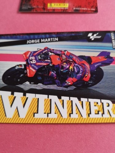 Jorge martin winner moto - winner,