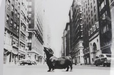 Print & Art Gerahmter