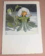 BOHATTA-MORPURGO VINTAGE