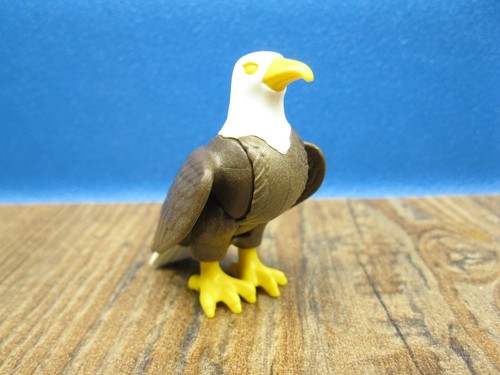 Weißkopfseeadler tiere - weißkopfseeadler,