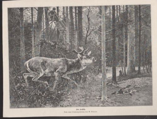 Holzstich hochsitz jagd und - holzstich,