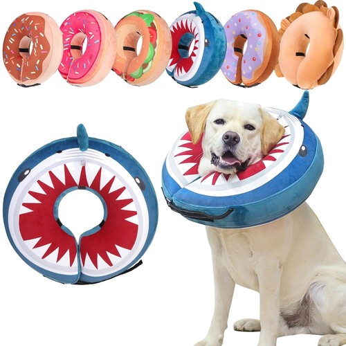 Hund katzen schutzkragen - hund,