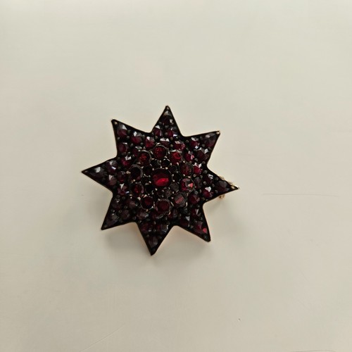 Antike granat stern brosche - granat,