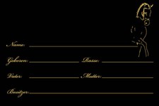 -B04- Boxenschild Dressurpferd