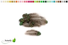 20 Pfauenfedern 4-8cm Dekofedern Schmuckfedern Basteln Federn Pfau Vogelfedern 