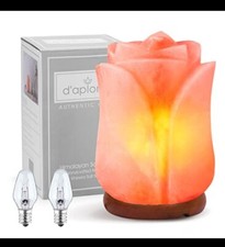 d'aplomb 100 % authentische