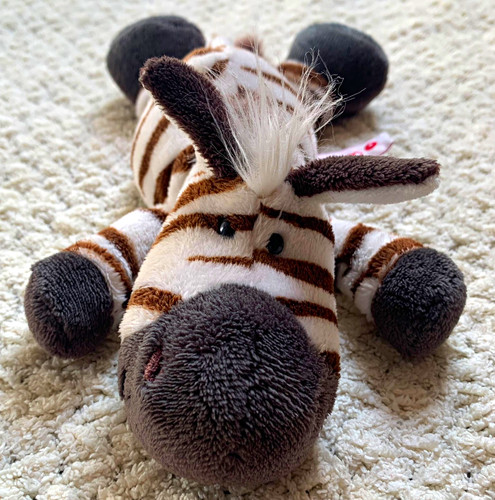 Nici wild friends - friends, zebra