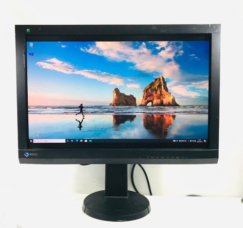 Eizo coloredge cg246 monitor - eizo,