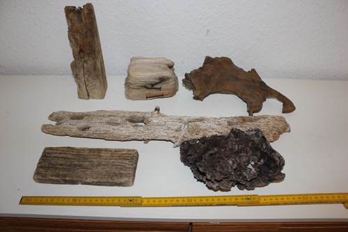 Treibholz holzwurzeln - x,