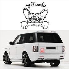 Auto Aufkleber FRENCHIE