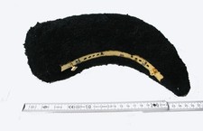 Wollraupe Raupenhelm Bayern