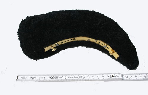 Wollraupe raupenhelm bayern - wollraupe,