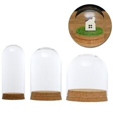 Glashaube Cloche Glas Haube Glasdom Glaskuppel Glassturz Glasglocke + Holz Base