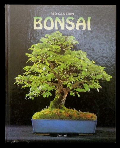 Aktion bonsai red - -,