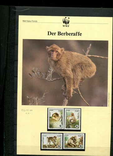 Motiv affen umfangreiche meist - motiv,