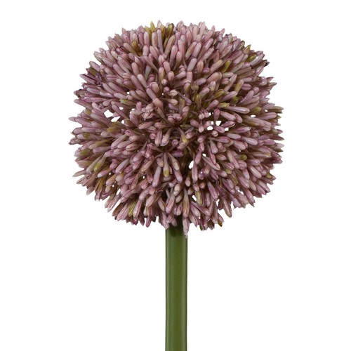 Kunstblume allium 3er set - kunstblume, allium,