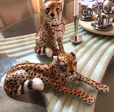 Gepard Leopard Italien ca