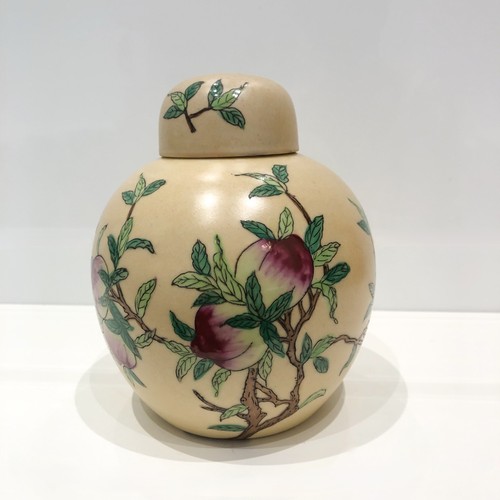 Asiatischer ingwertopf - asiatischer,