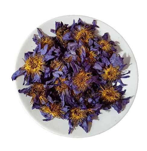 ägyptische blaue lotusblume - Ägyptische,
