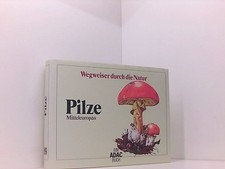 ADAC Wegweiser durch die