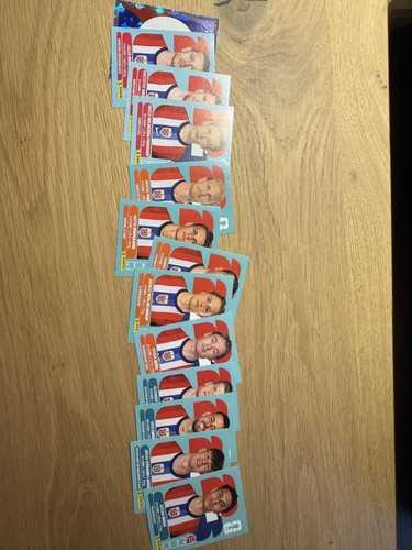 Panini fifa world cup - world,