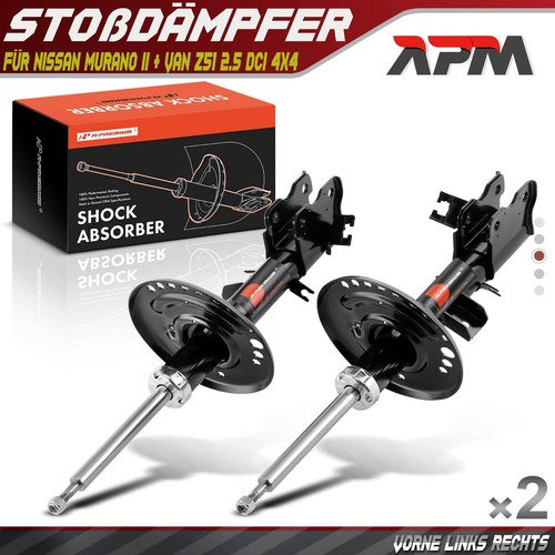 Stossdämpfer gasdruck - 2x,