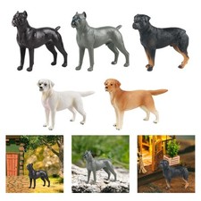 Simulation Hundefigur Modelle Haustier Tierspielzeug Actionfigur Hochdetailliert