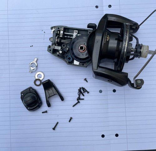 Shimnao big baitrunner - big,