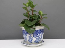 China porzellan blumentopf - porzellan,