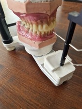 Totale 28er Prothese/ Aufstellung OK/UK Im Wachs Eingesetz Neu  als Schauarbeit 