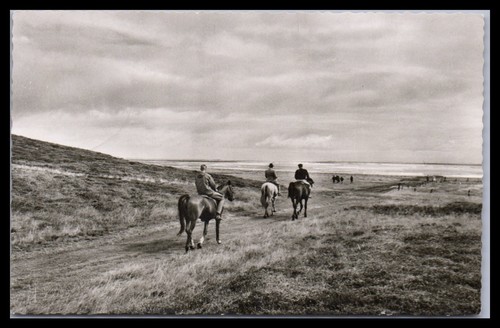 Ansichtskarte nordsee insel - ansichtskarte, nordsee-insel