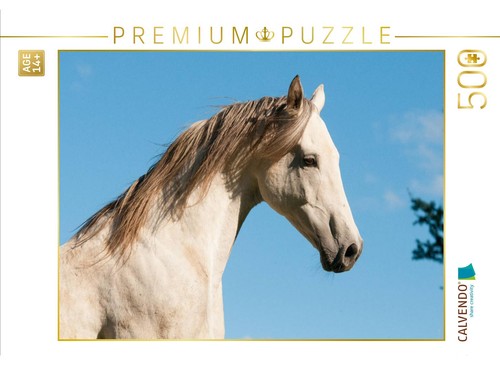 Calvendo puzzle zauberhaftes - puzzle,