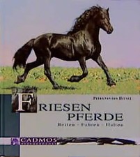Friesen Pferde
