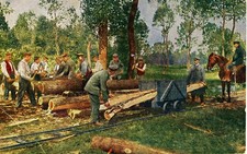 Eisenbahnpioniere WK I "Bearbeitung von Holz für Unterstände" 1916 Feldbahn
