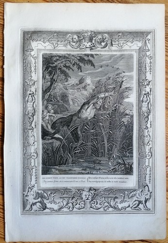 Picart mythologie kupferstich - picart,