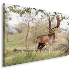 Leinwand Bild CANVAS WANDBILD