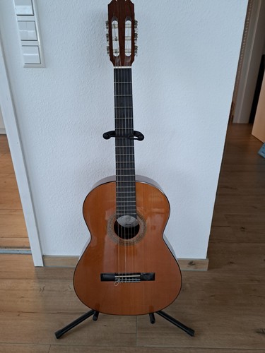 Höfner 503 4 carmencita - 4/4,