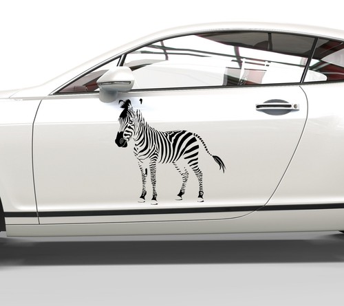 Autoaufkleber zebra - autoaufkleber,