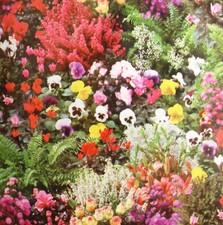 Wachstuch Tischdecke Blumen