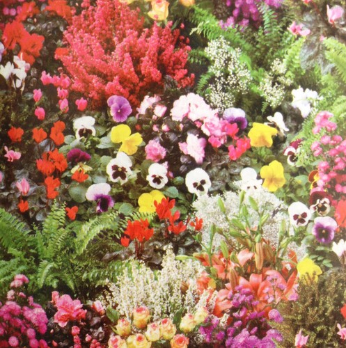 Wachstuch tischdecke blumen - wachstuch,