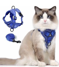 KATZENGESCHIRR & LEINE