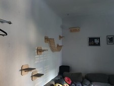 Catwalk Katzen Kletterwand