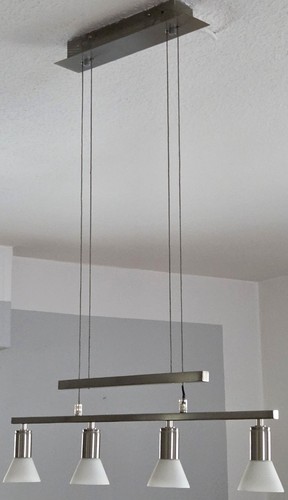 Pendelleuchte/Deckenleuchte