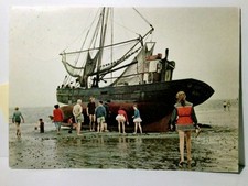 Schiffe. Büsum. Krabbenfischer. Ansichtskarte / Postkarte farbig, gel. 1964. Sch