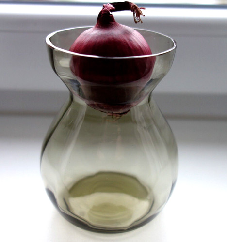Hyazinthenglas hyazinthenvase - hyazinthenglas,