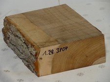 Rüster Ulme Holz Rohling